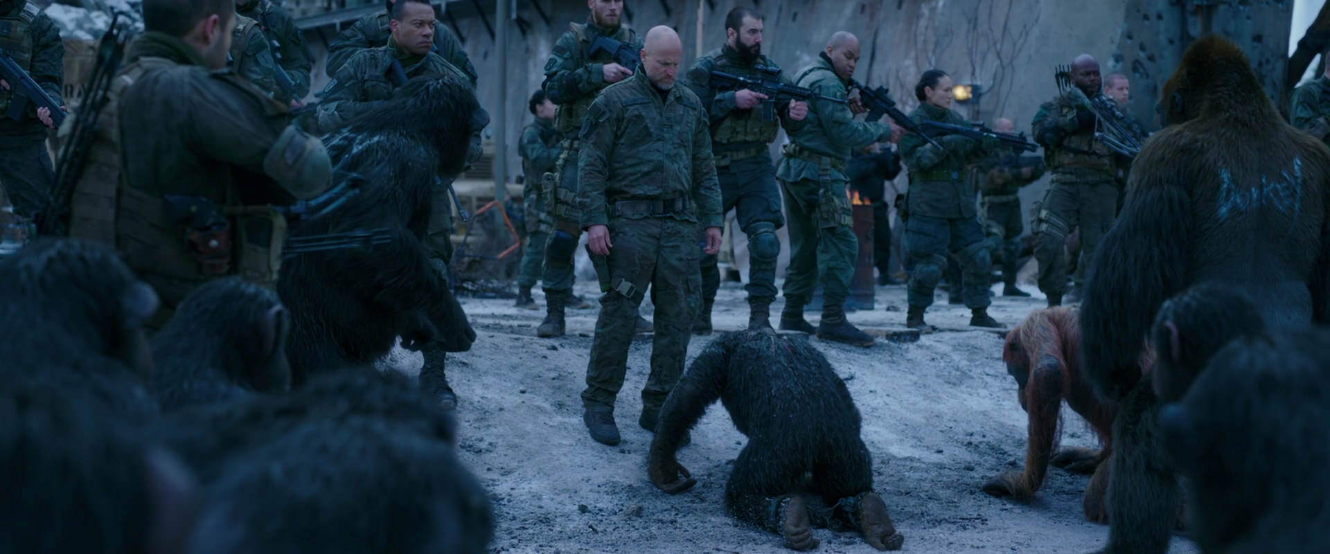War for the Planet of the Apes (2017) movie still 8569