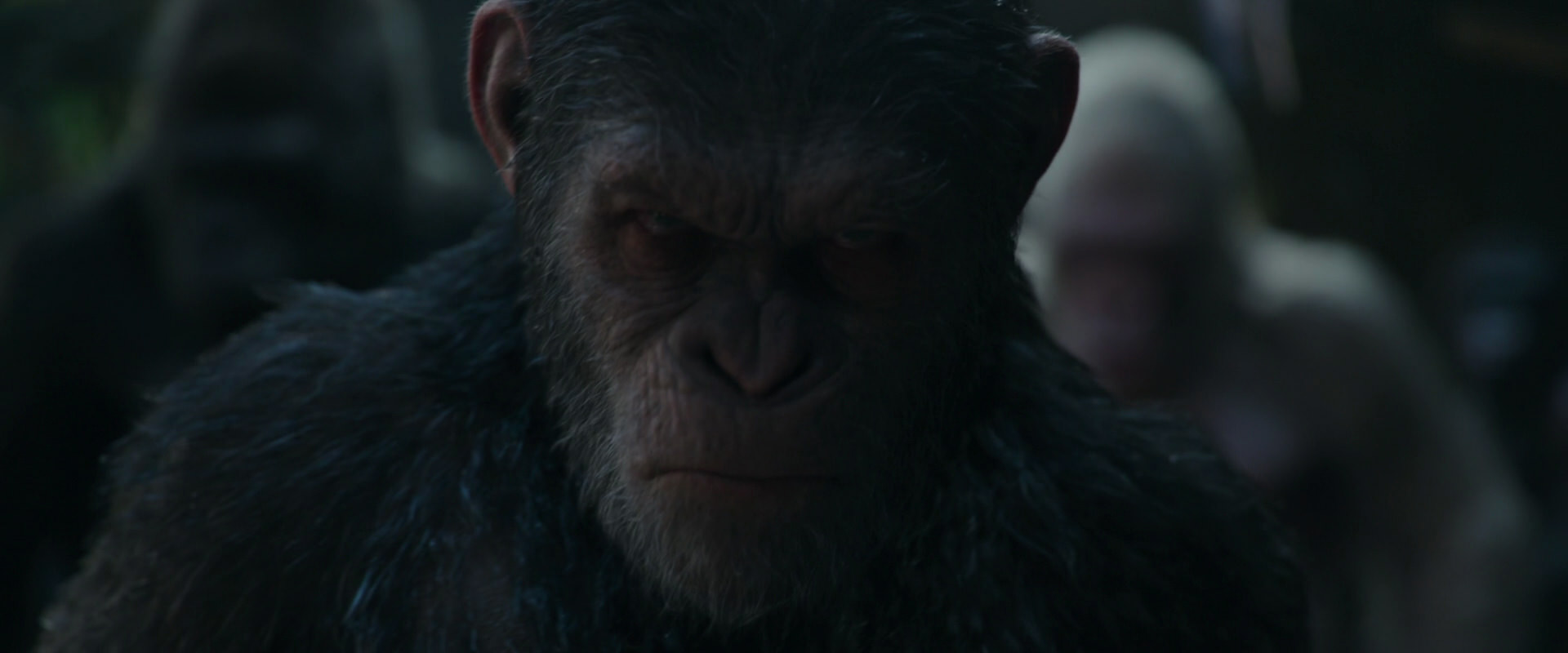 War for the Planet of the Apes (2017) HD screenshot 857