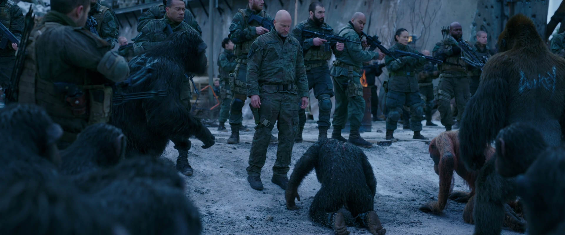 War for the Planet of the Apes (2017) HD screenshot 8570