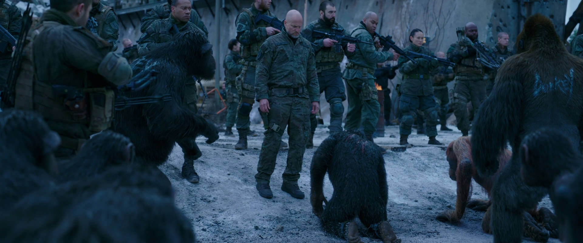 War for the Planet of the Apes (2017) screencap 8571