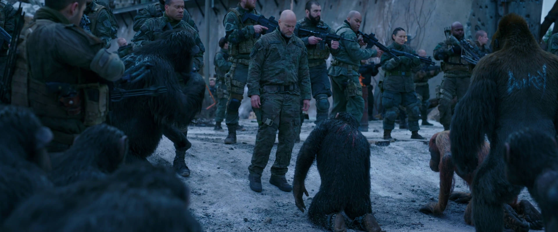 War for the Planet of the Apes (2017) movie still 8572