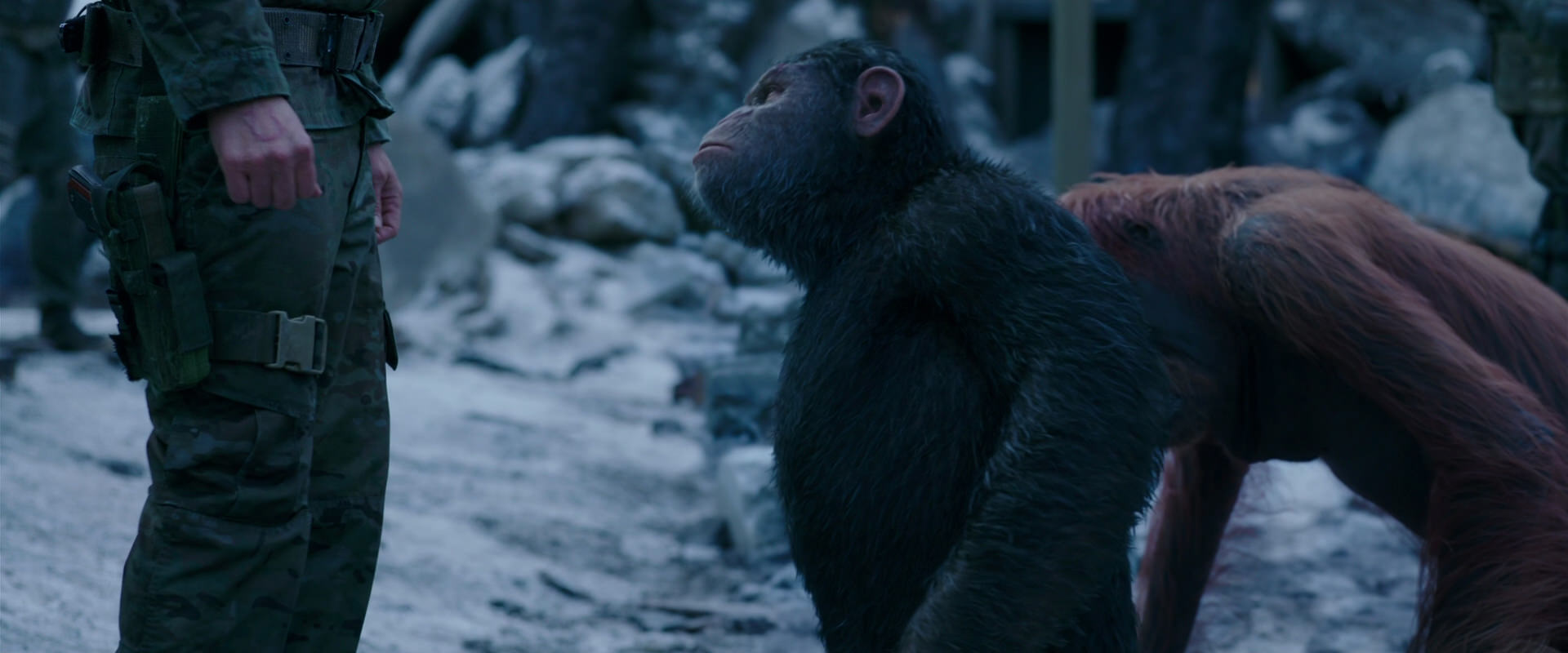 War for the Planet of the Apes (2017) screencap 8574