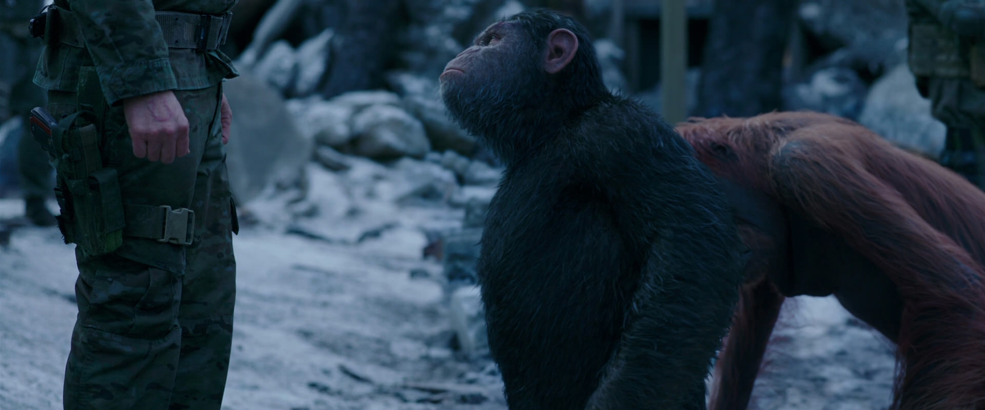 War for the Planet of the Apes (2017) movie still 8575