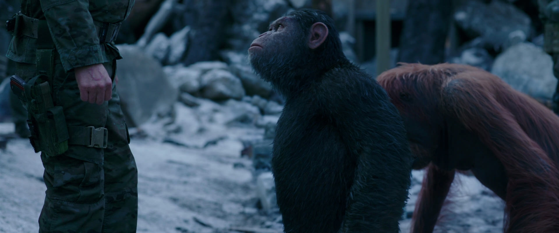 War for the Planet of the Apes (2017) movie still 8578