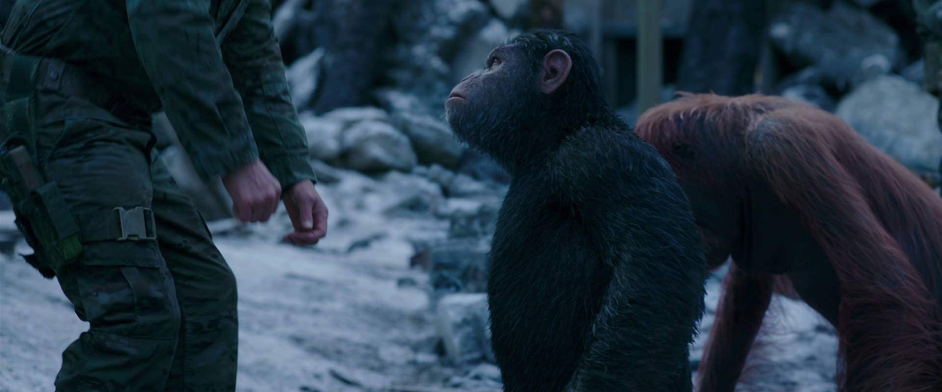 War for the Planet of the Apes (2017) screencap 8580
