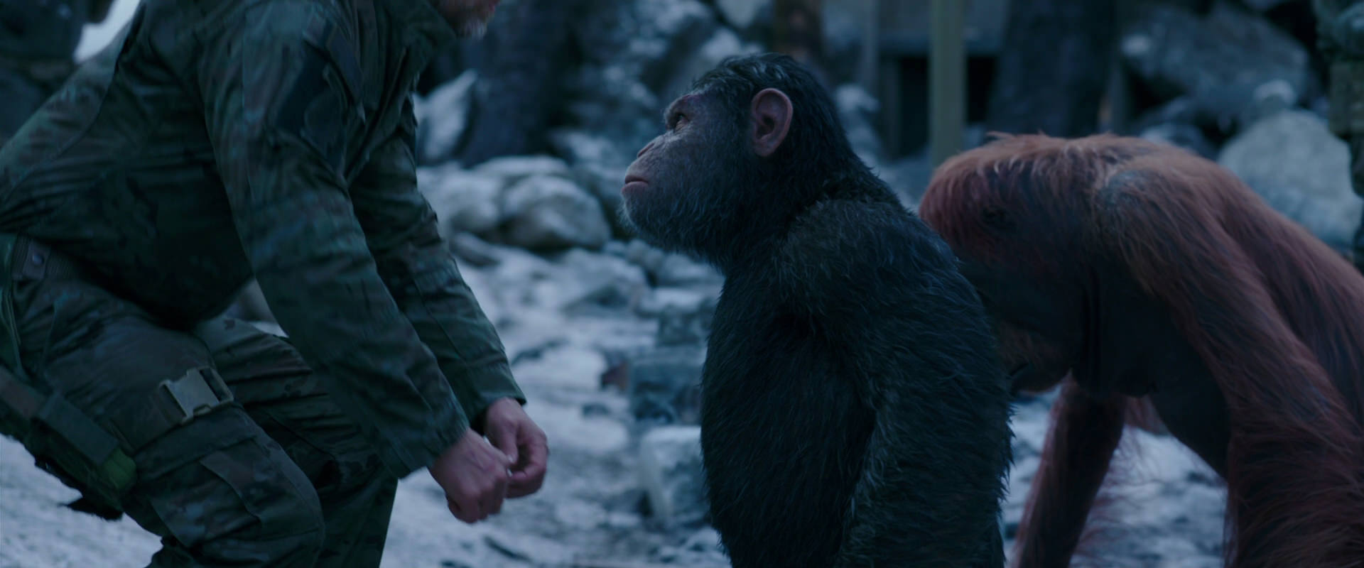 War for the Planet of the Apes (2017) movie still 8581