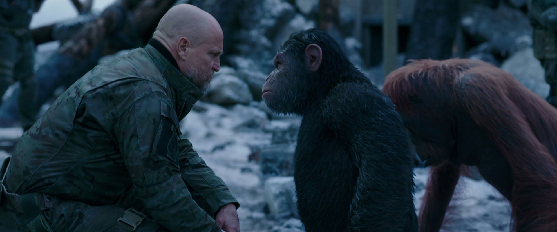 War for the Planet of the Apes (2017) screencap 8583
