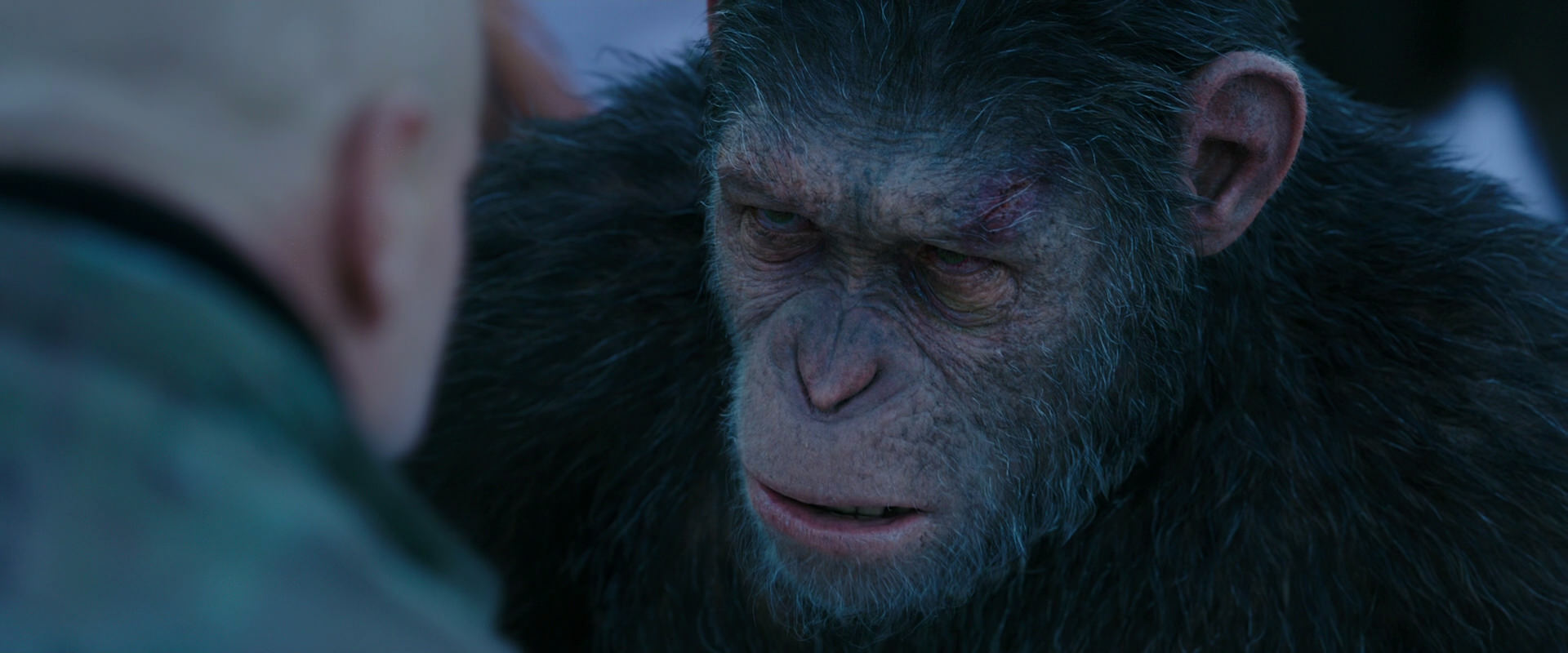 War for the Planet of the Apes (2017) screencap 8592