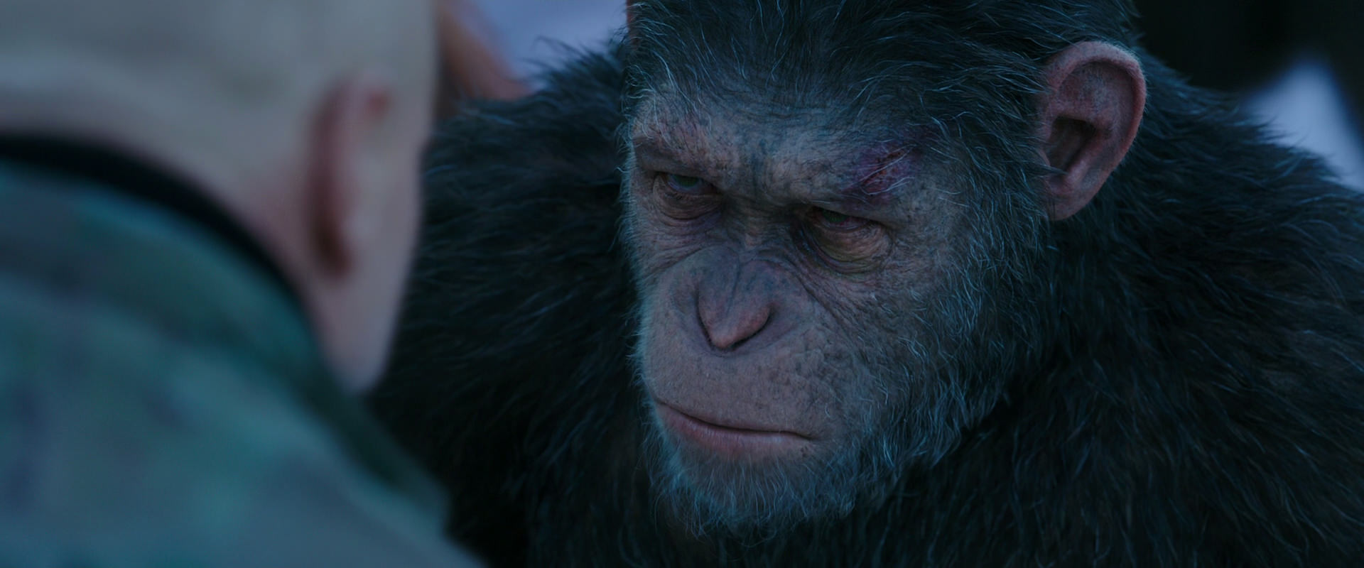 War for the Planet of the Apes (2017) movie still 8593