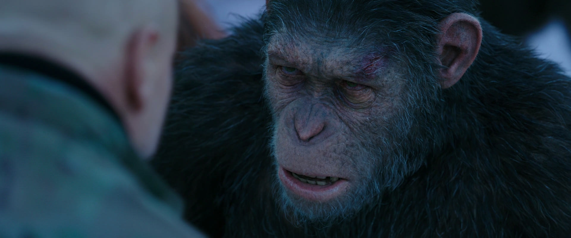 War for the Planet of the Apes (2017) HD screenshot 8594