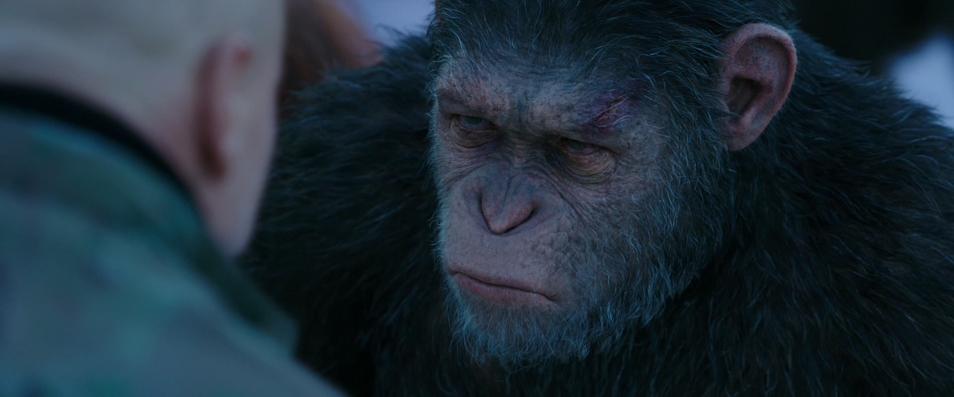 War for the Planet of the Apes (2017) screencap 8595