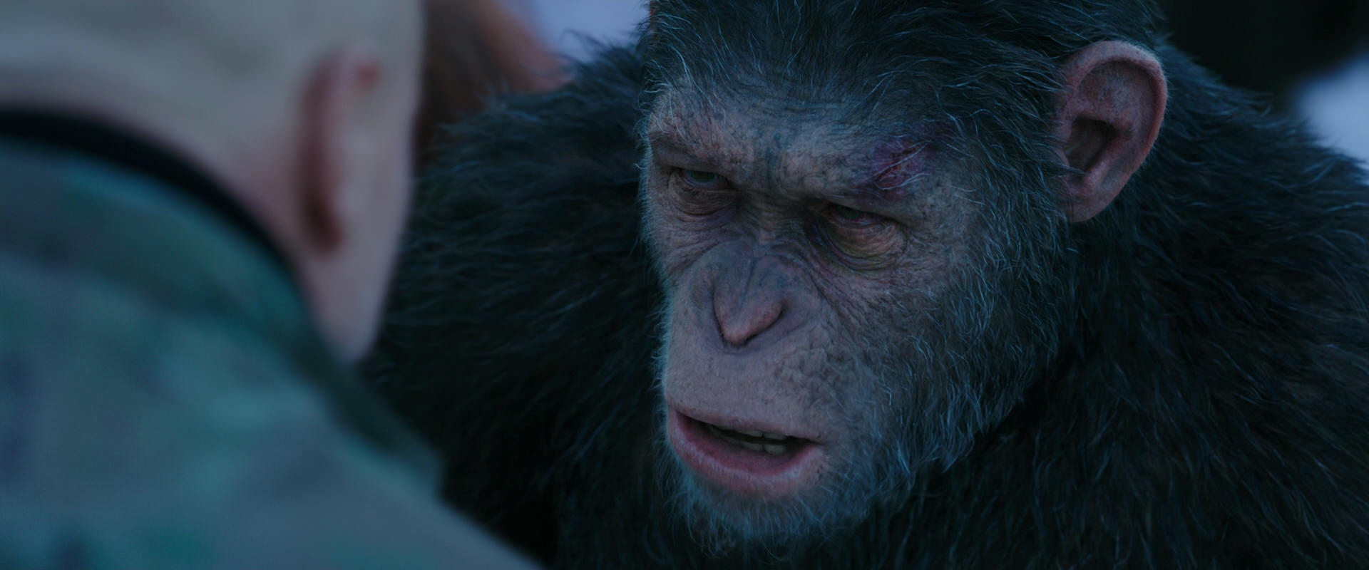 War for the Planet of the Apes (2017) movie still 8596