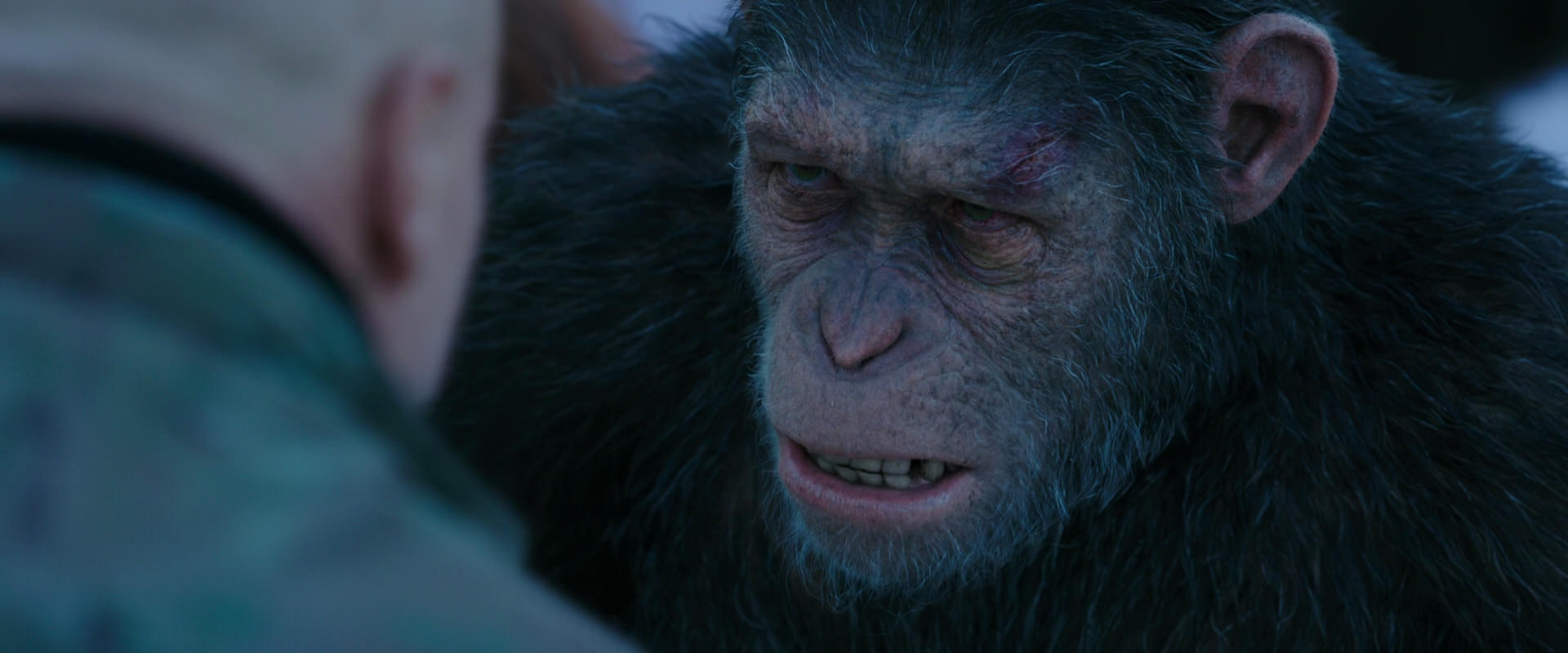 War for the Planet of the Apes (2017) HD screenshot 8597
