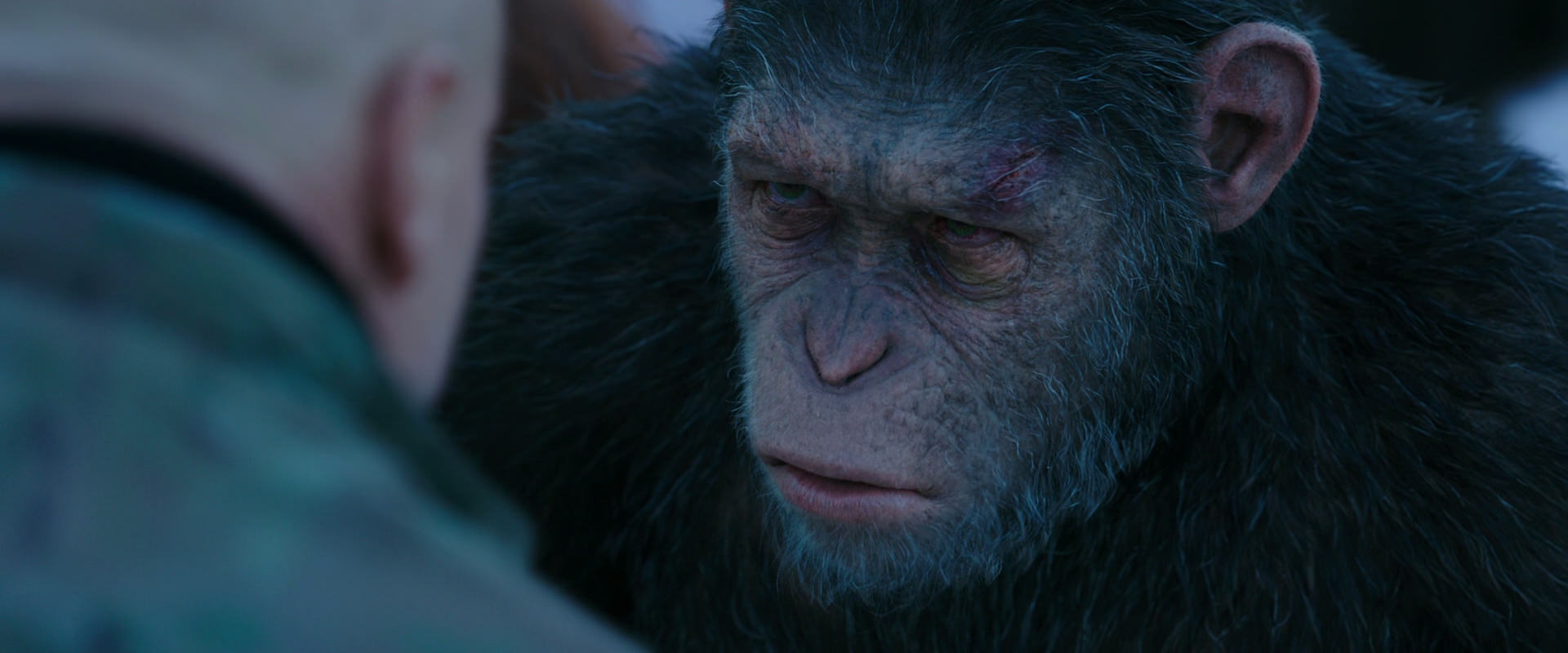 War for the Planet of the Apes (2017) screencap 8598