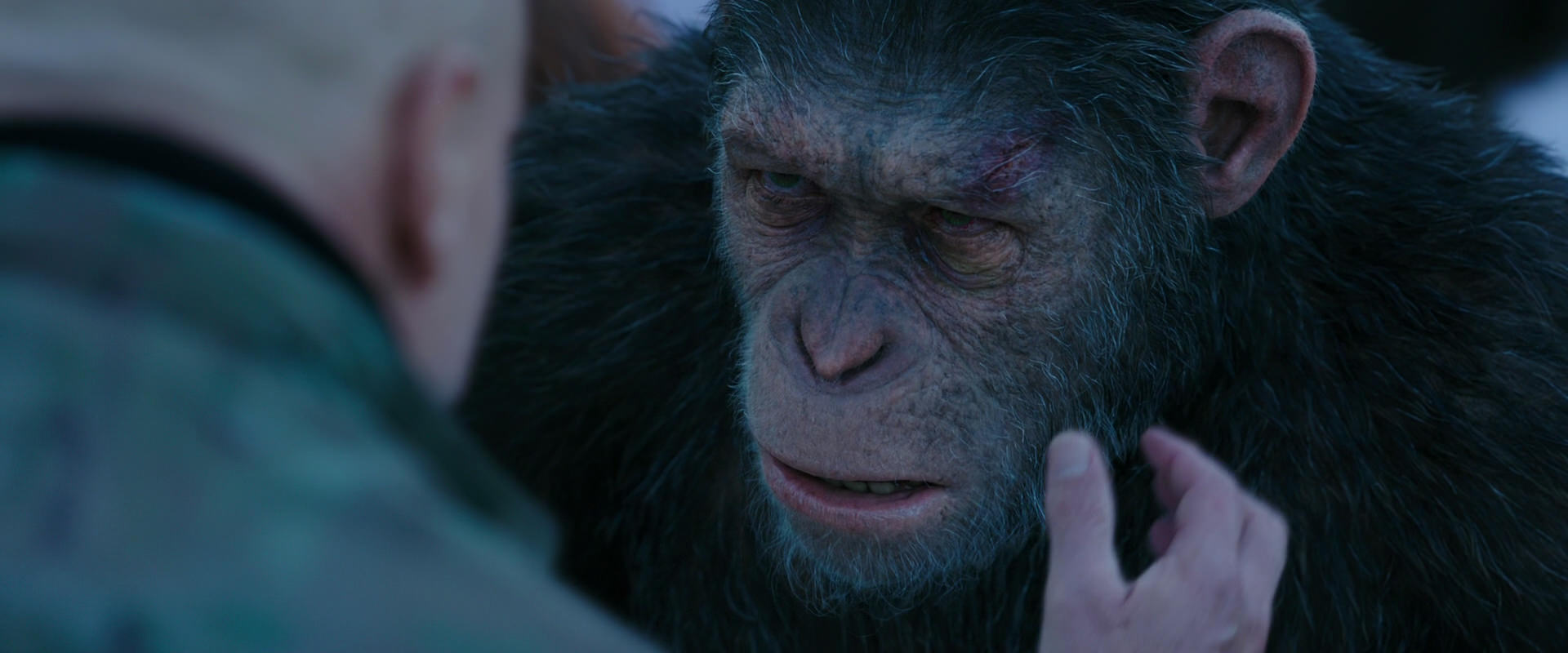 War for the Planet of the Apes (2017) movie still 8599