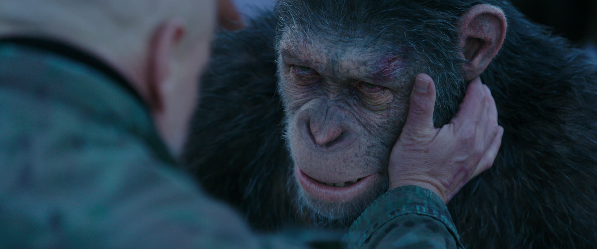 War for the Planet of the Apes (2017) movie still 8608