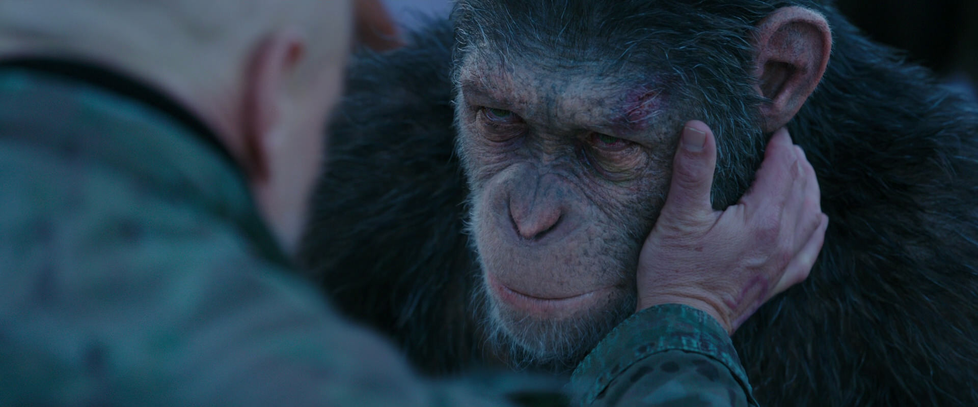 War for the Planet of the Apes (2017) HD screenshot 8609