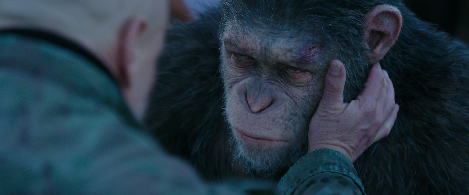 War for the Planet of the Apes (2017) screencap 8610
