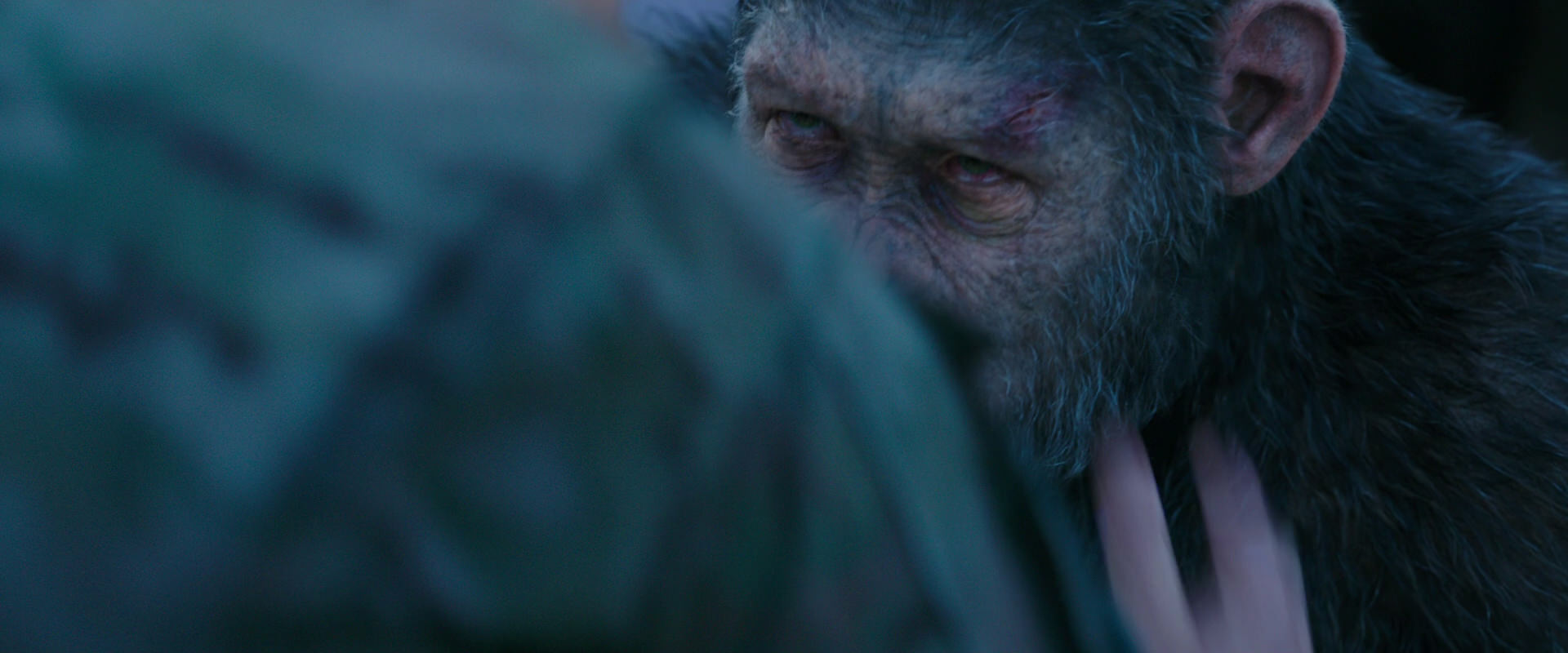 War for the Planet of the Apes (2017) movie still 8611