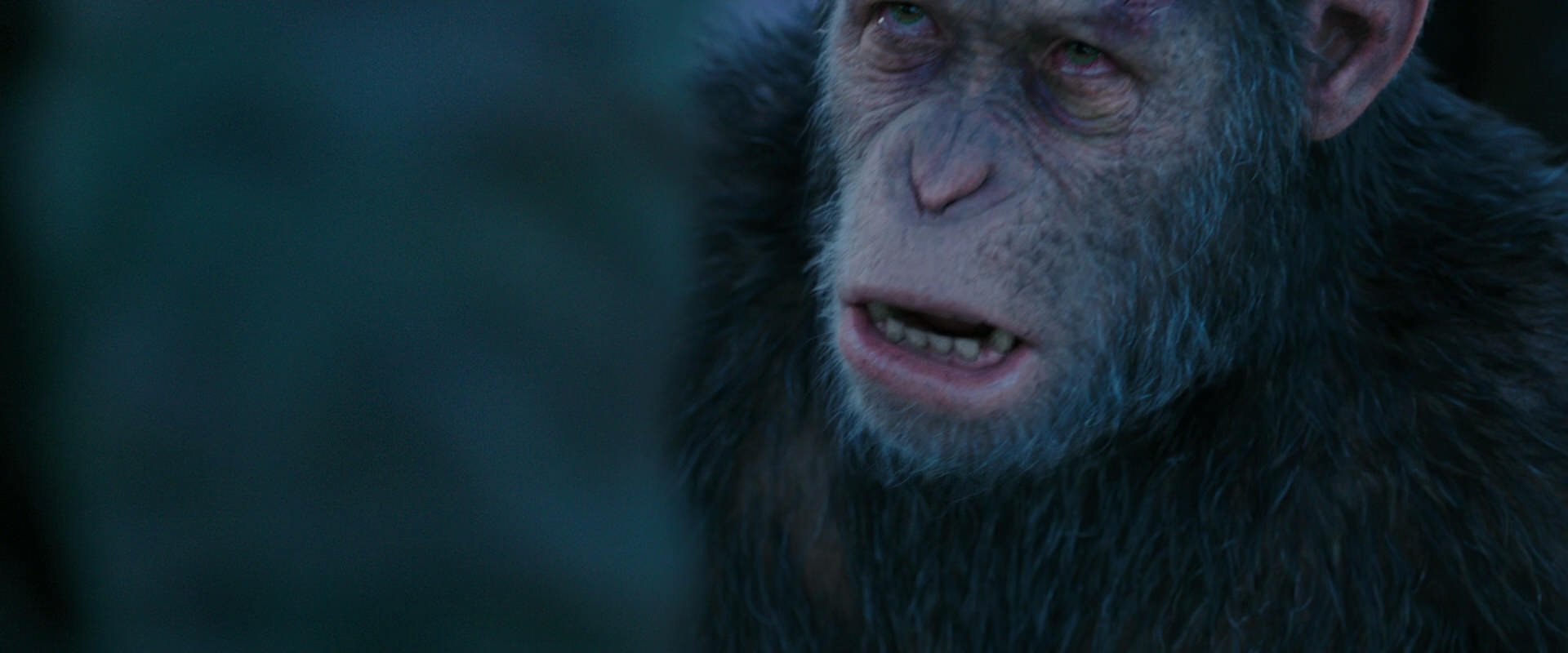 War for the Planet of the Apes (2017) HD screenshot 8612