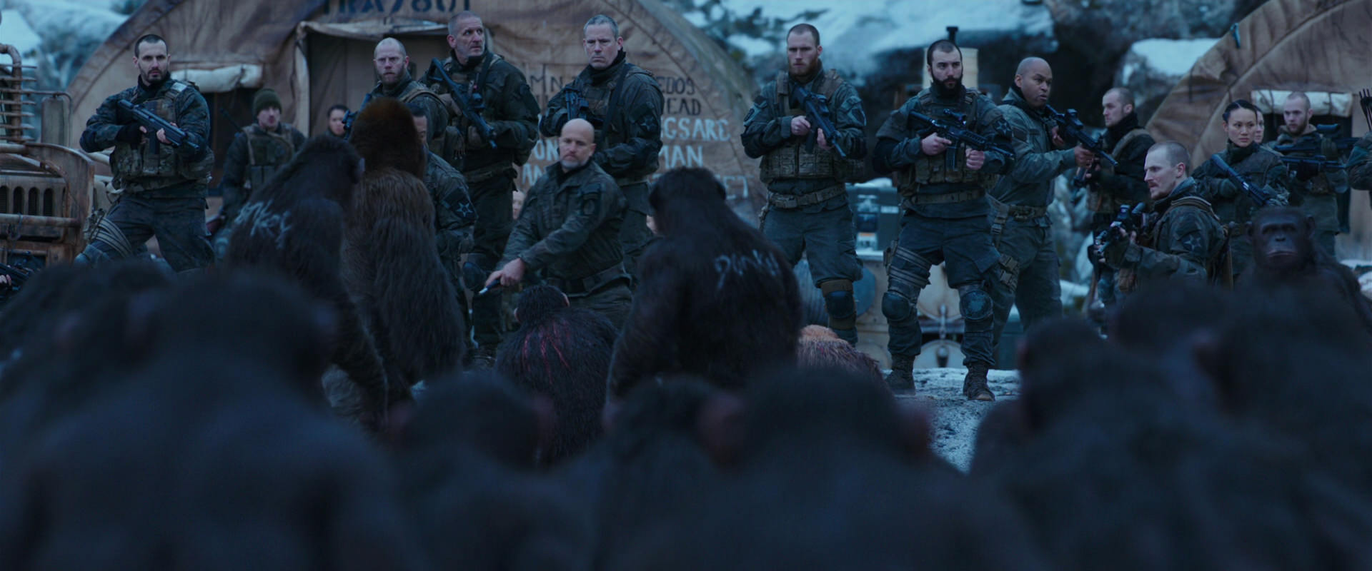 War for the Planet of the Apes (2017) movie still 8614