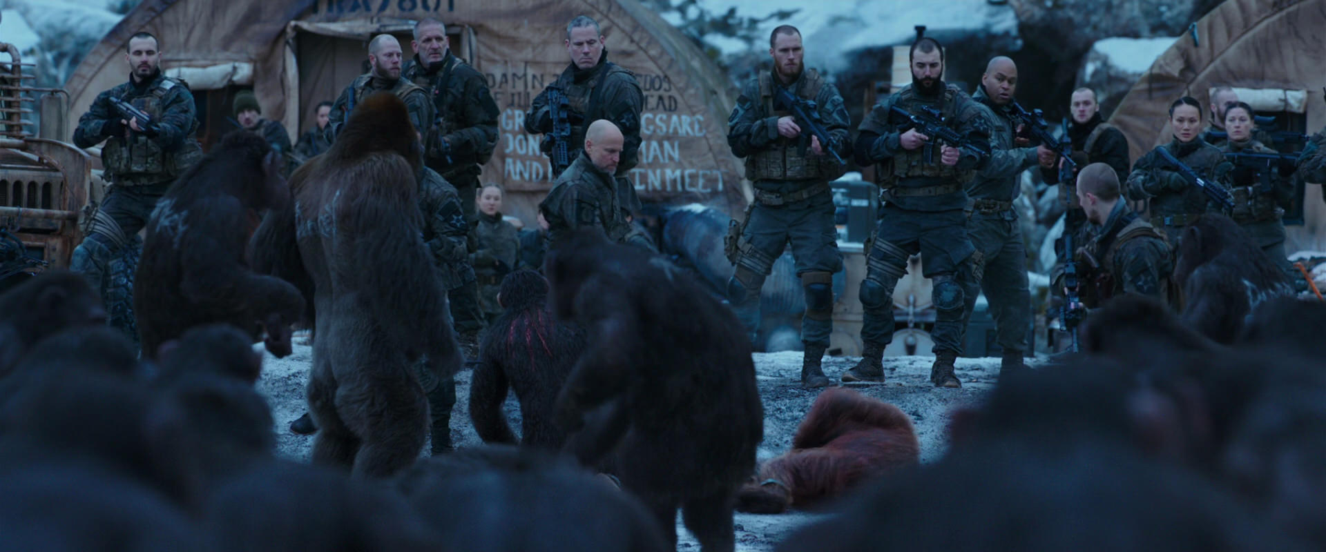 War for the Planet of the Apes (2017) movie still 8617