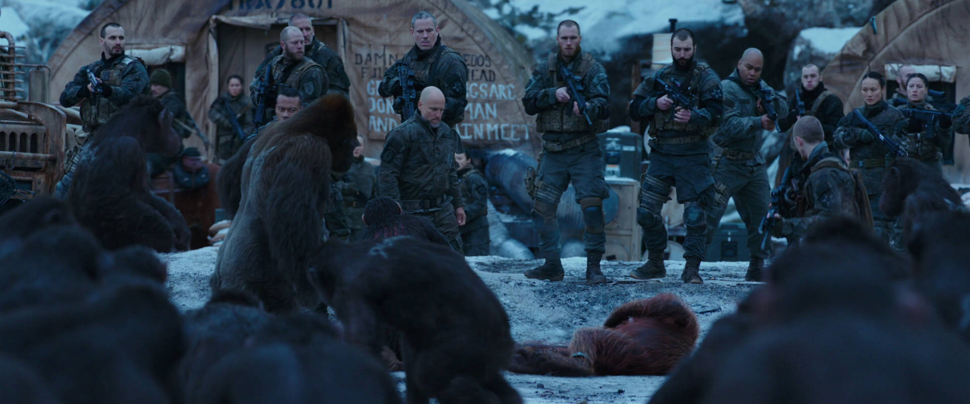 War for the Planet of the Apes (2017) HD screenshot 8618
