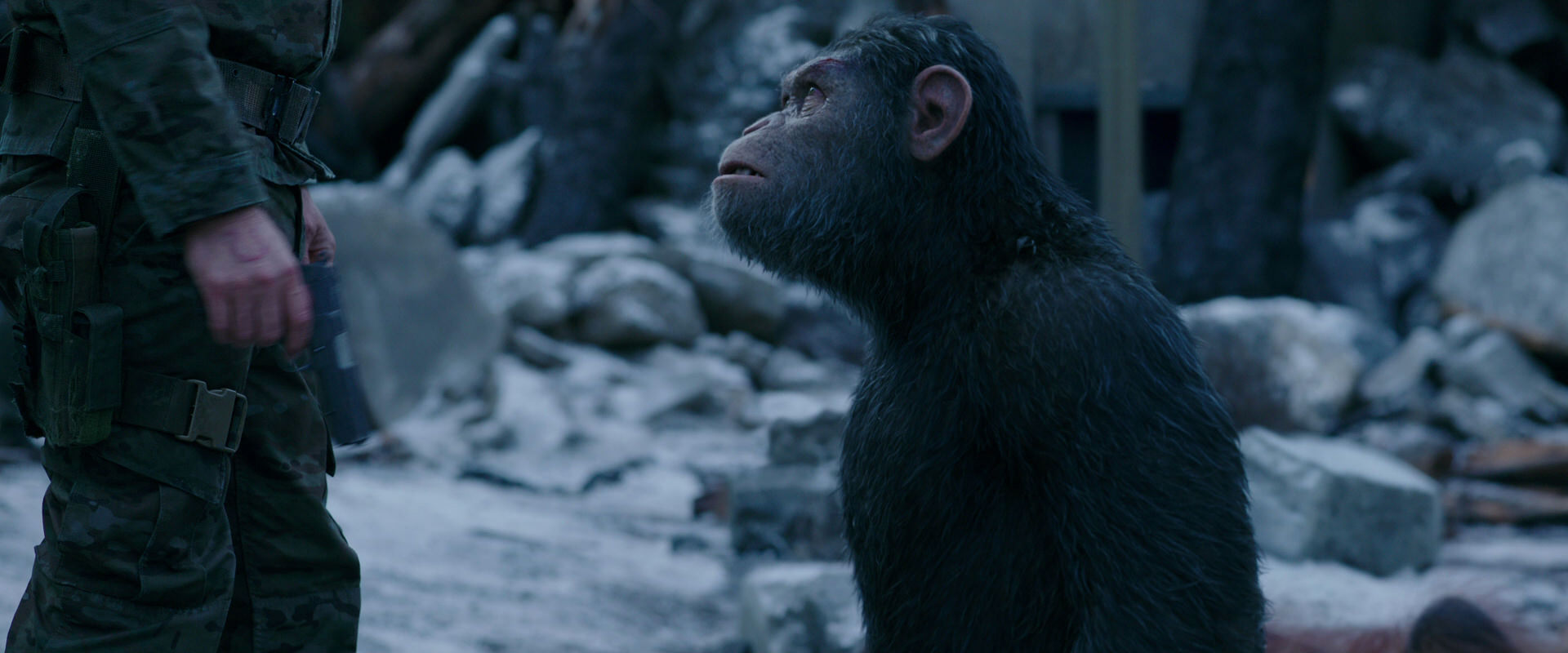 War for the Planet of the Apes (2017) screencap 8619