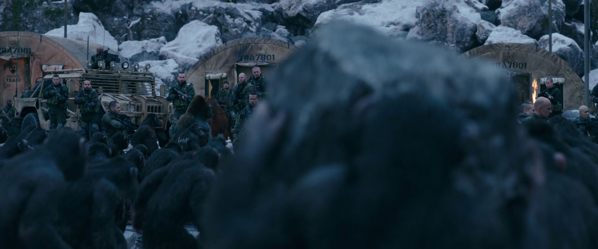 War for the Planet of the Apes (2017) movie still 8641