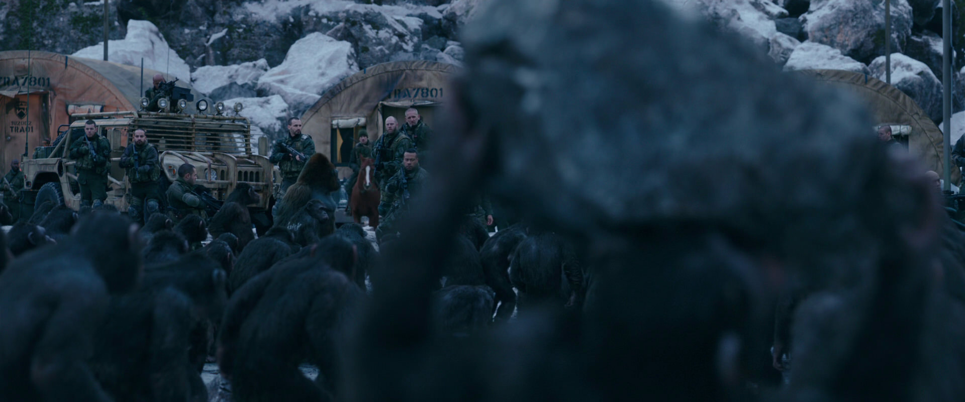 War for the Planet of the Apes (2017) HD screenshot 8642