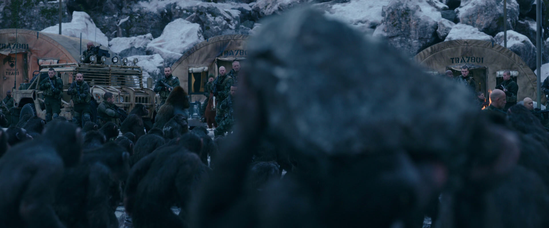 War for the Planet of the Apes (2017) screencap 8643