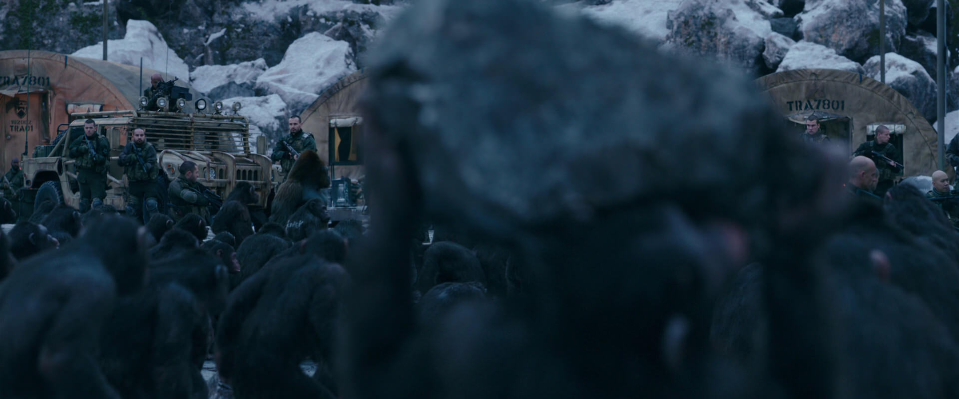 War for the Planet of the Apes (2017) movie still 8644