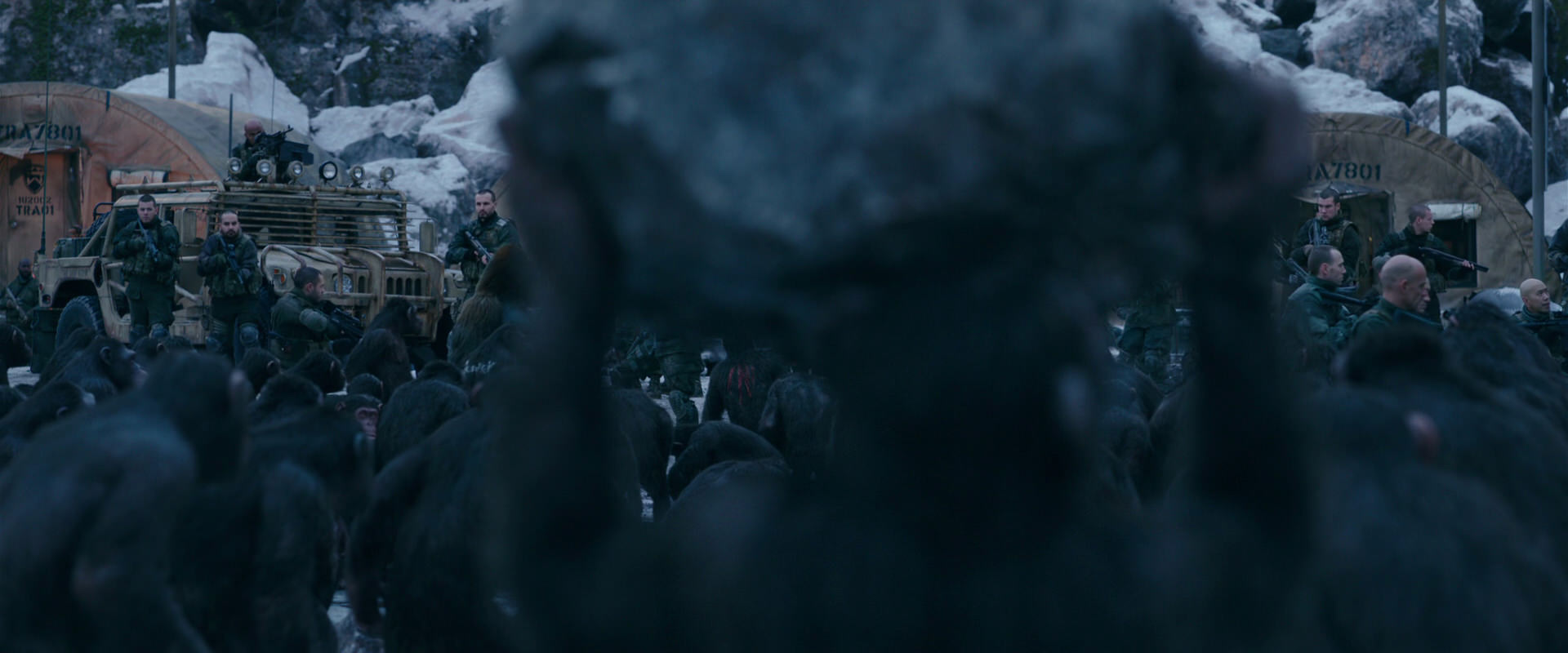 War for the Planet of the Apes (2017) HD screenshot 8645