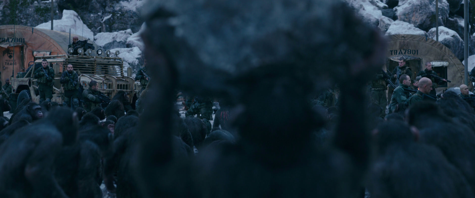 War for the Planet of the Apes (2017) screencap 8646