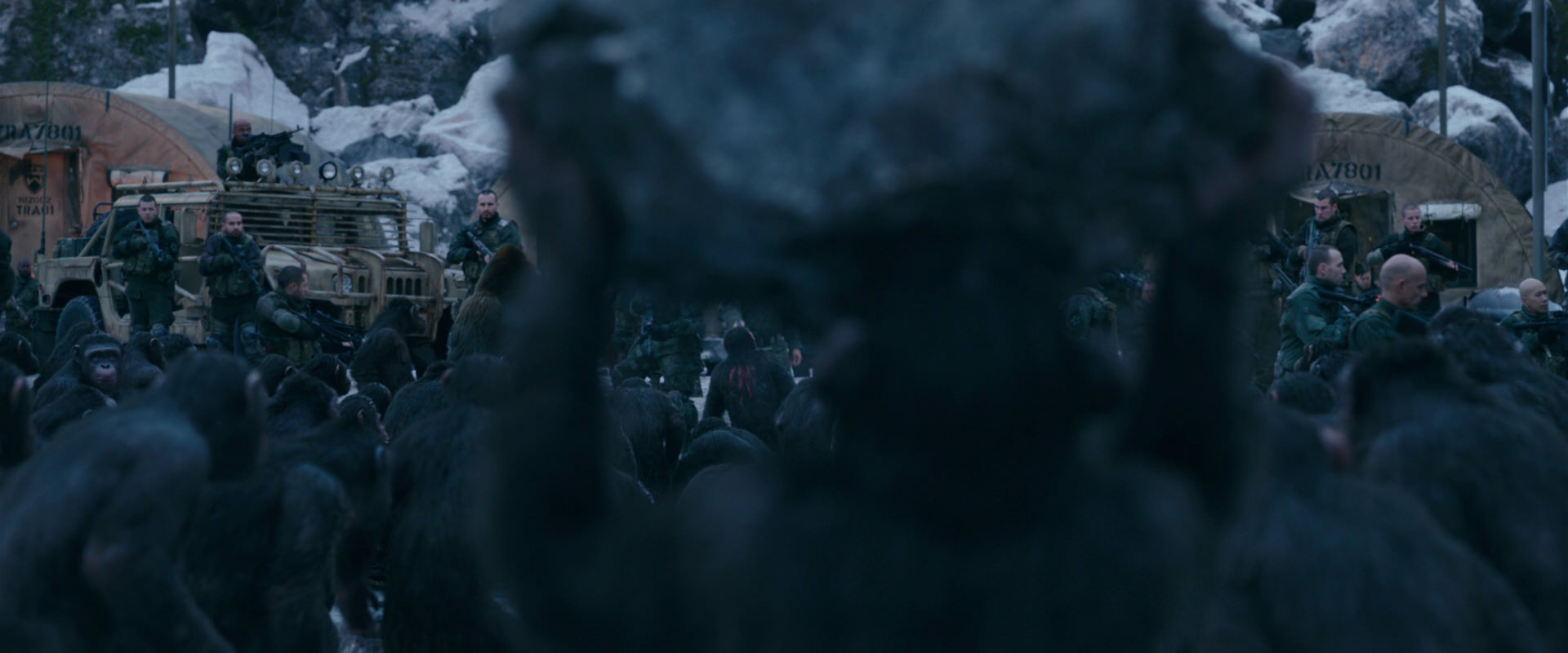 War for the Planet of the Apes (2017) movie still 8647