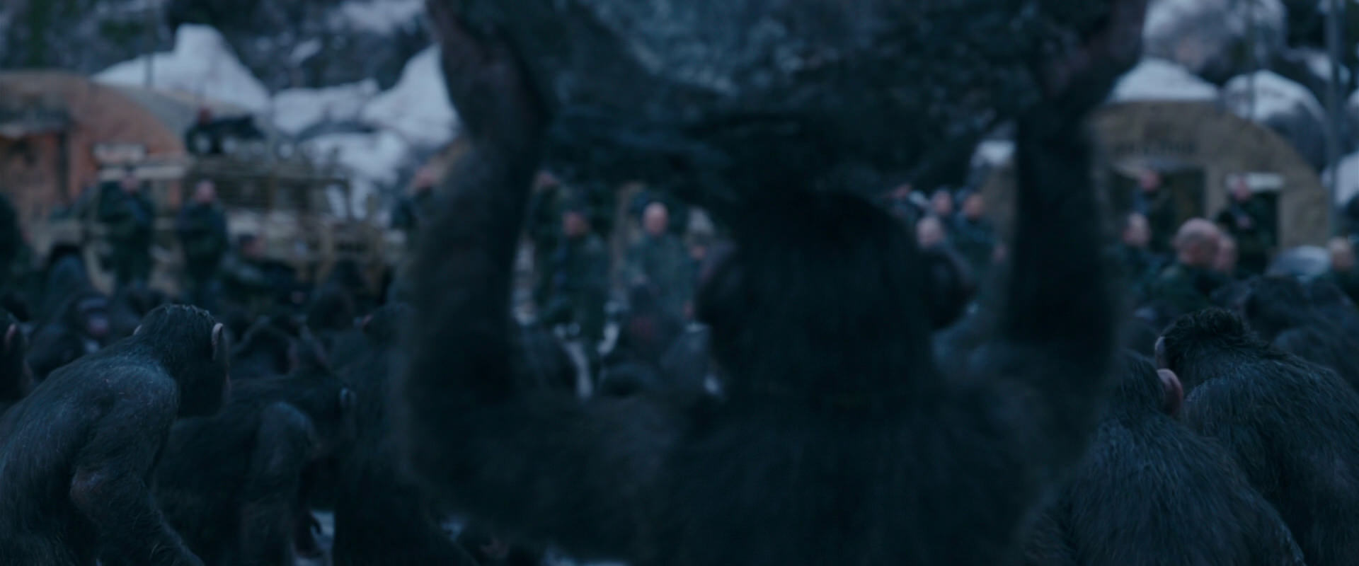 War for the Planet of the Apes (2017) screencap 8649
