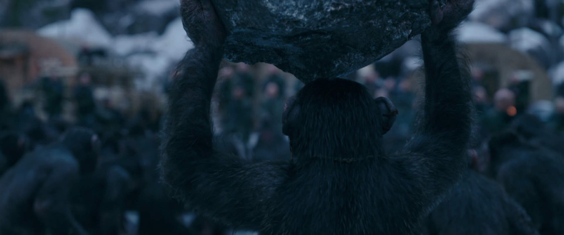 War for the Planet of the Apes (2017) movie still 8650