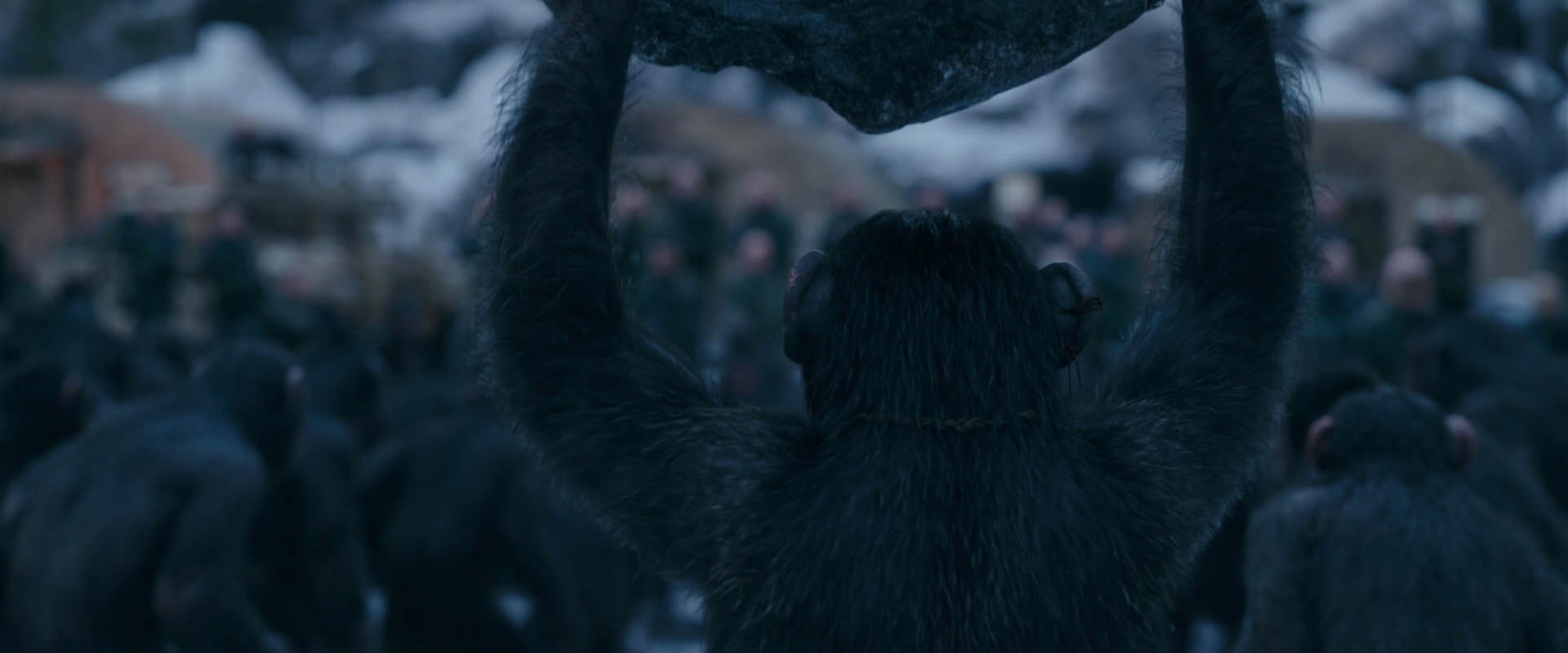 War for the Planet of the Apes (2017) screencap 8652