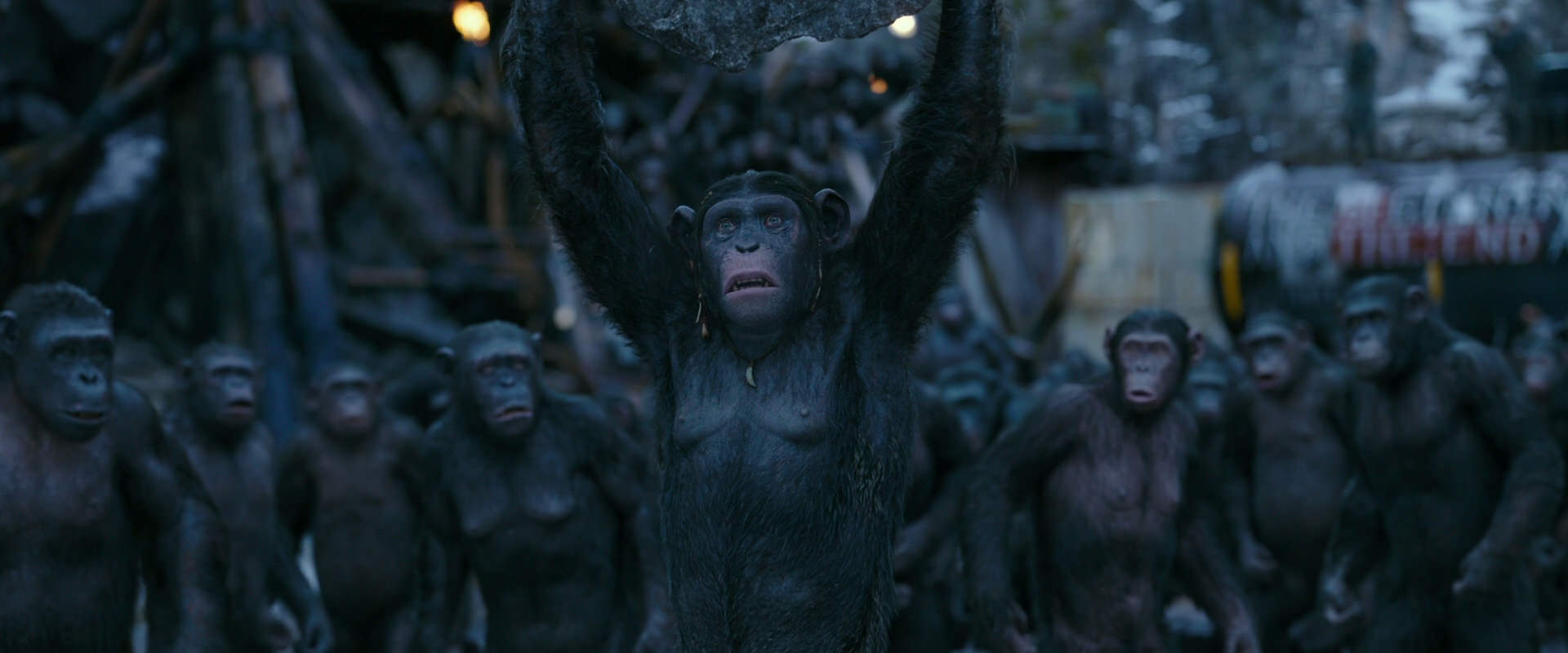 War for the Planet of the Apes (2017) movie still 8659