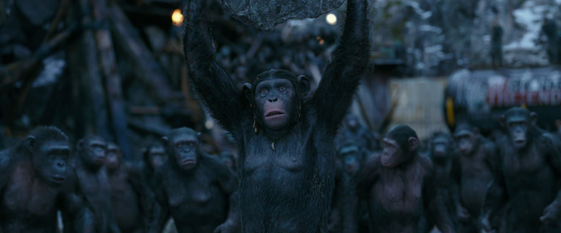 War for the Planet of the Apes (2017) movie still 8662