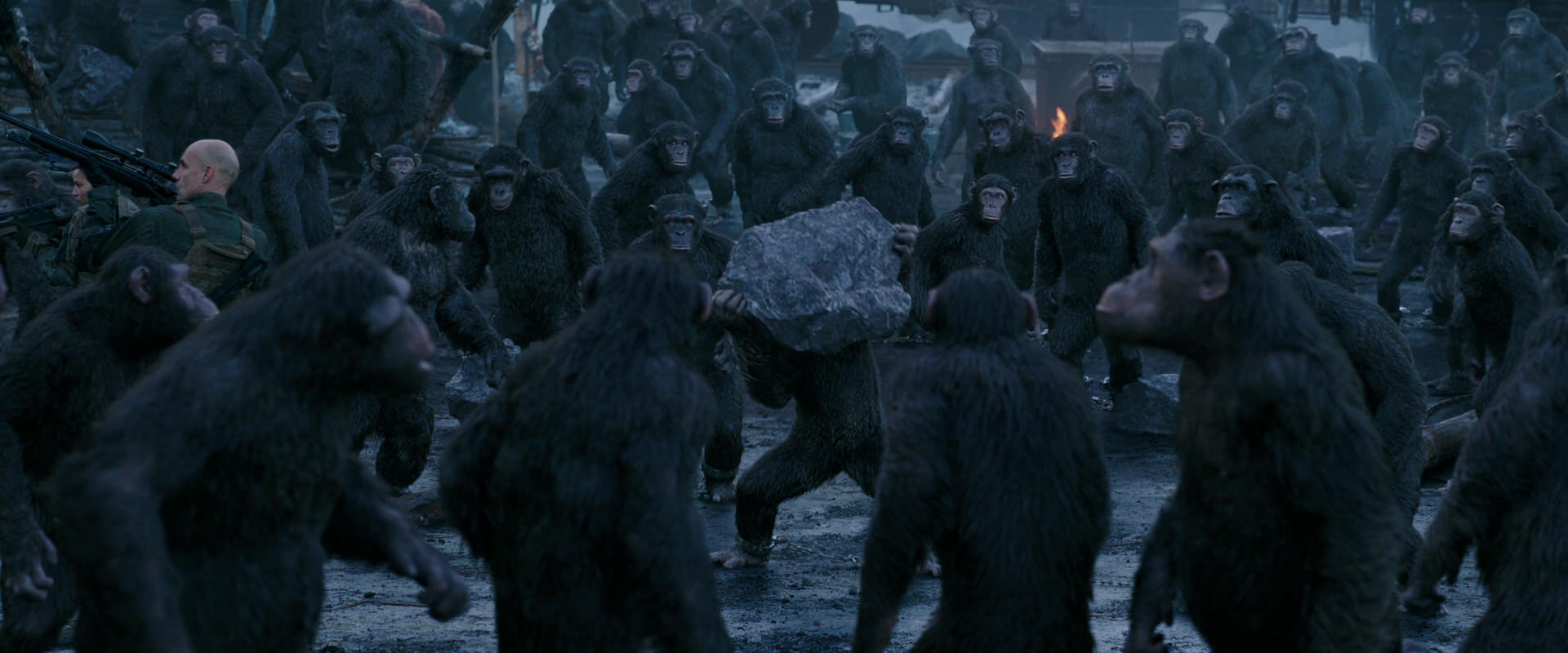 War for the Planet of the Apes (2017) screencap 8670