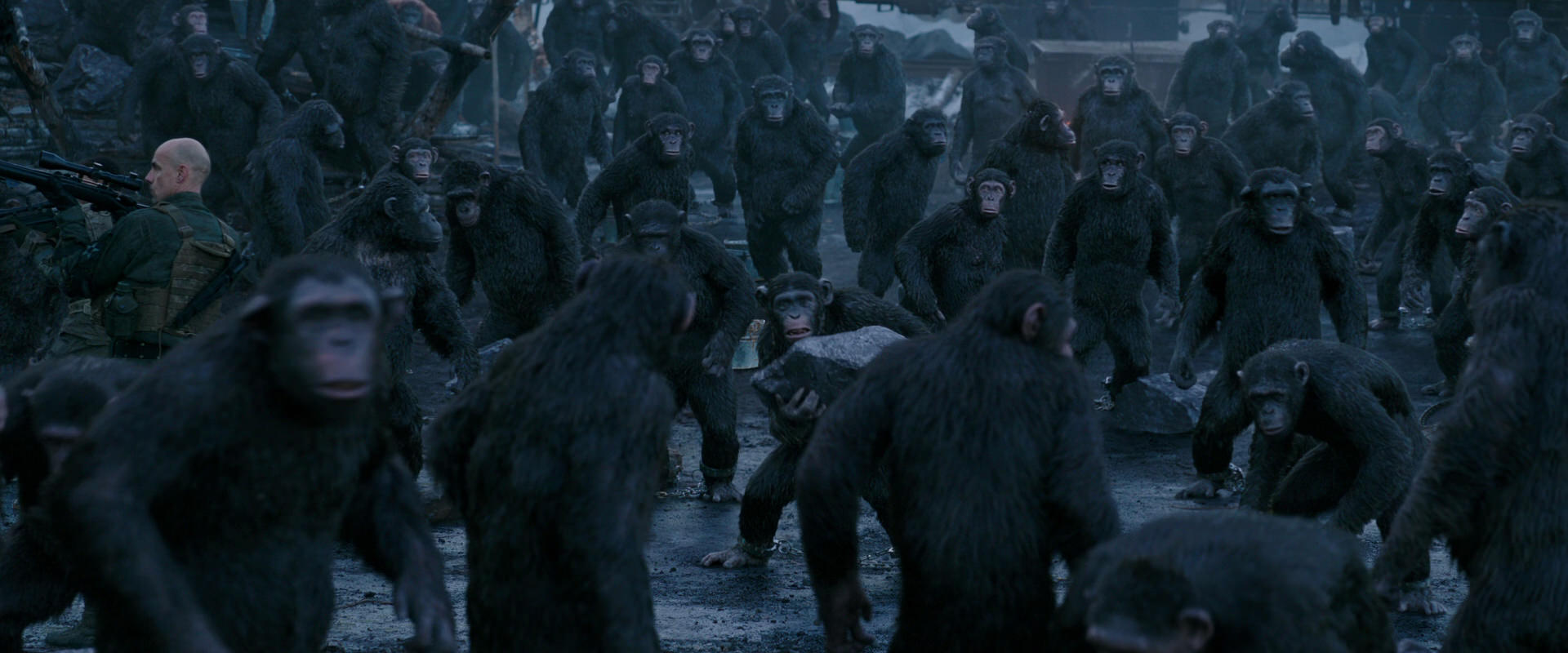 War for the Planet of the Apes (2017) screencap 8673