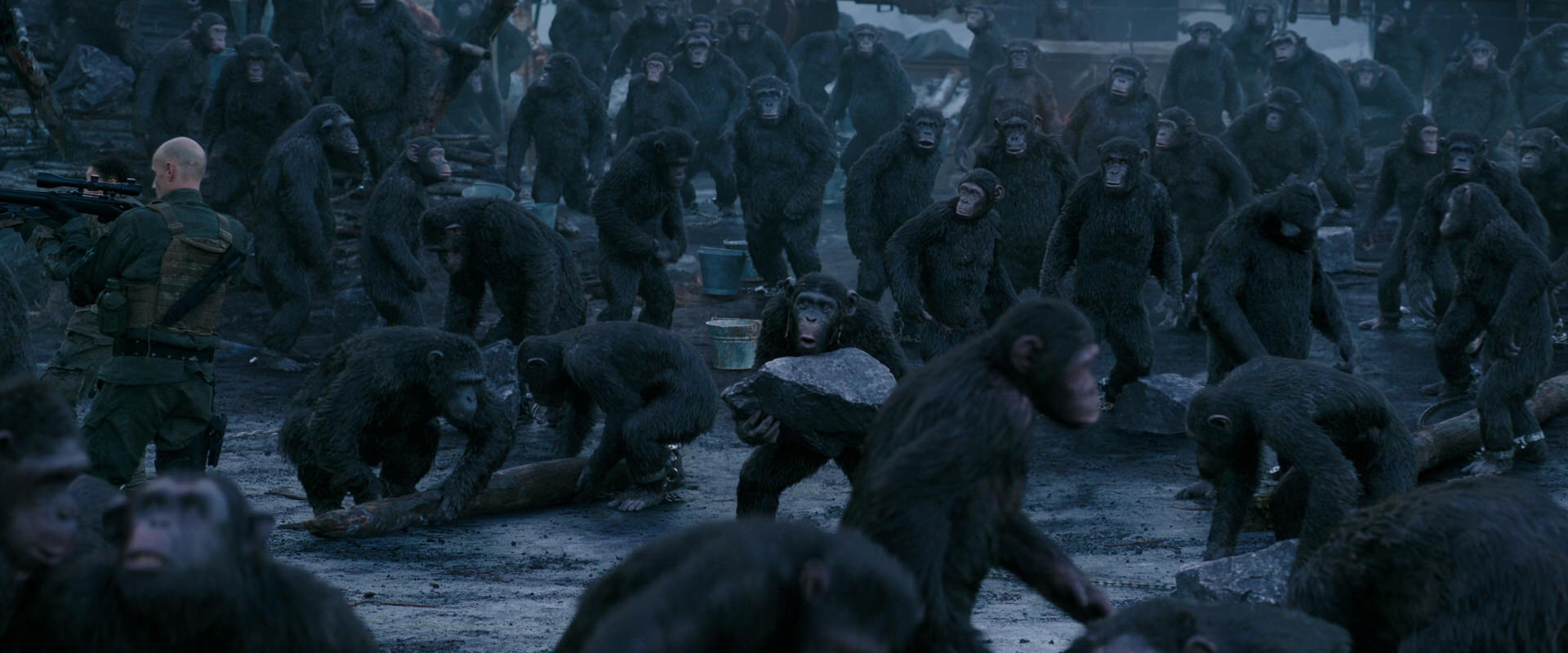 War for the Planet of the Apes (2017) screencap 8676