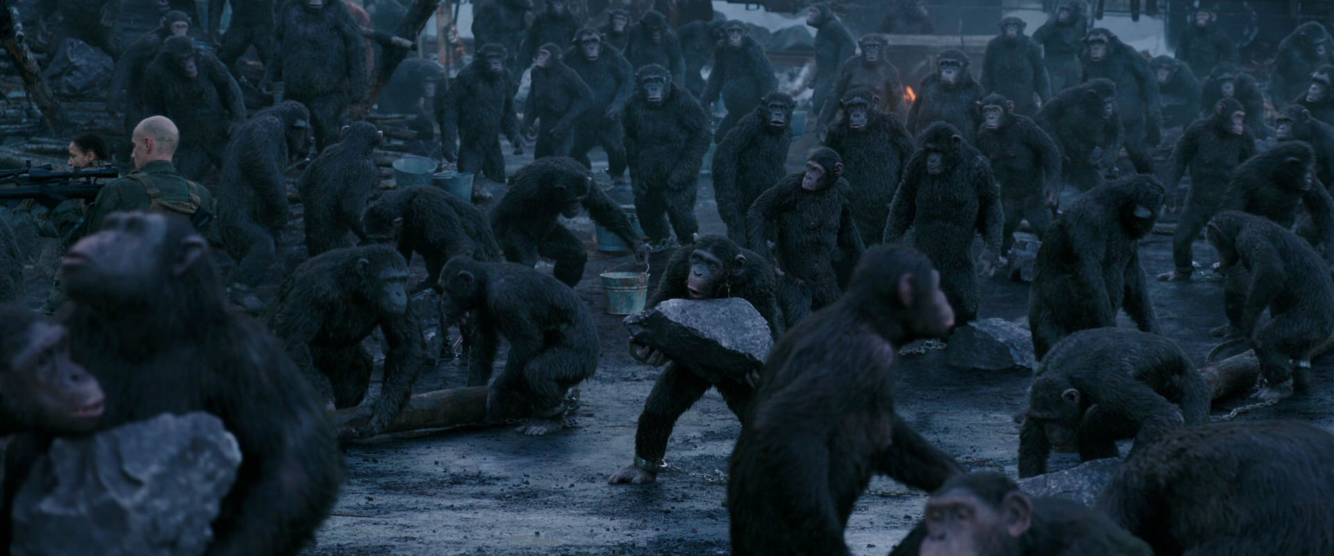 War for the Planet of the Apes (2017) movie still 8677