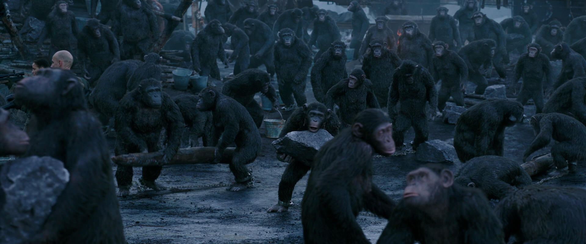 War for the Planet of the Apes (2017) HD screenshot 8678