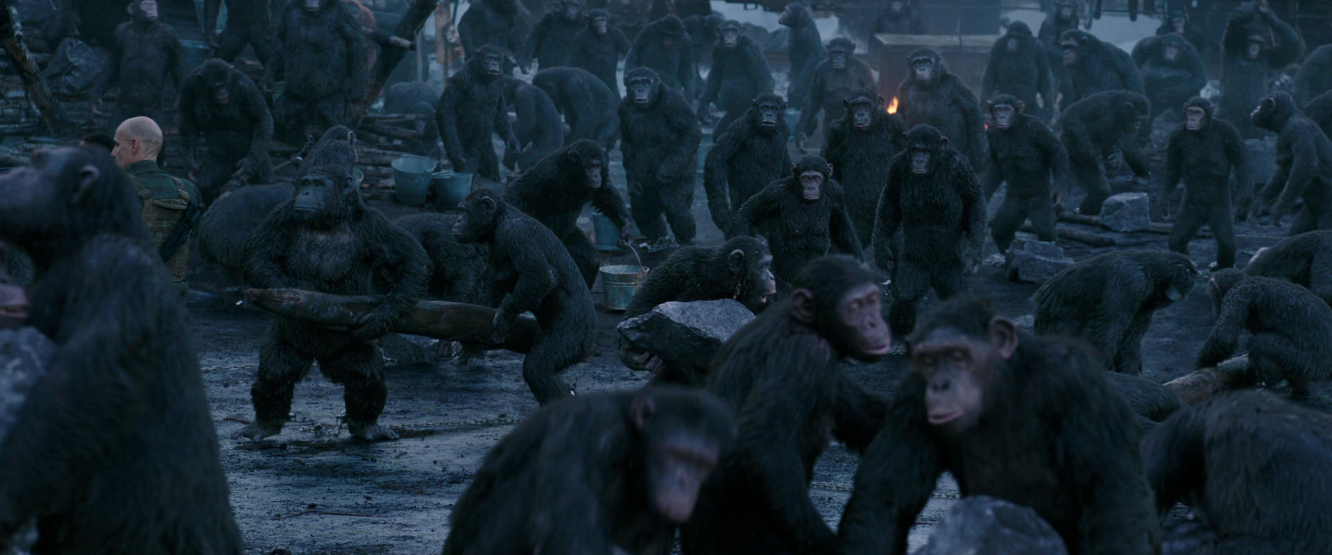 War for the Planet of the Apes (2017) screencap 8679
