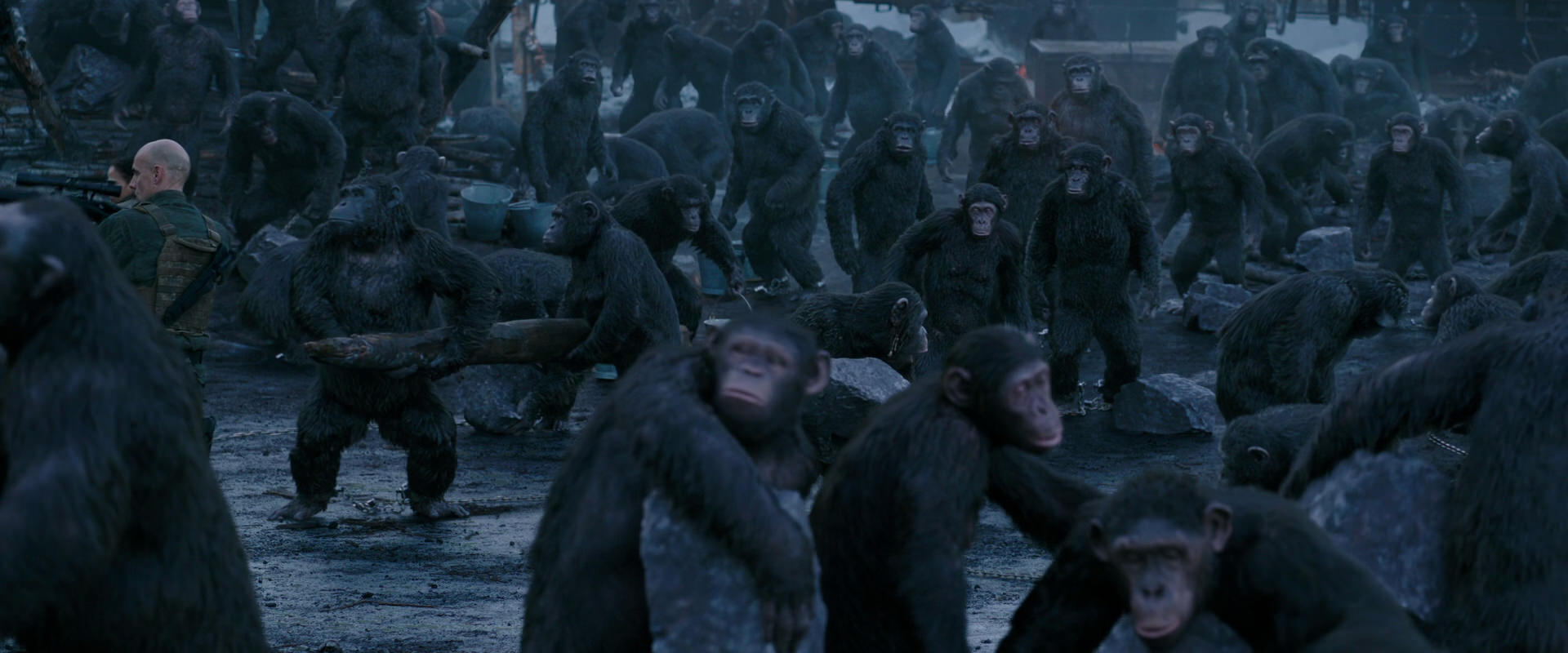 War for the Planet of the Apes (2017) movie still 8680