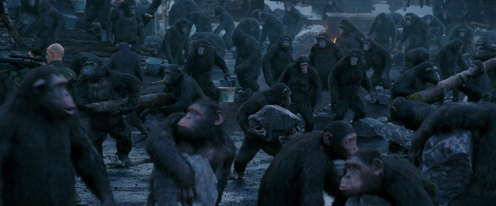 War for the Planet of the Apes (2017) screencap 8682