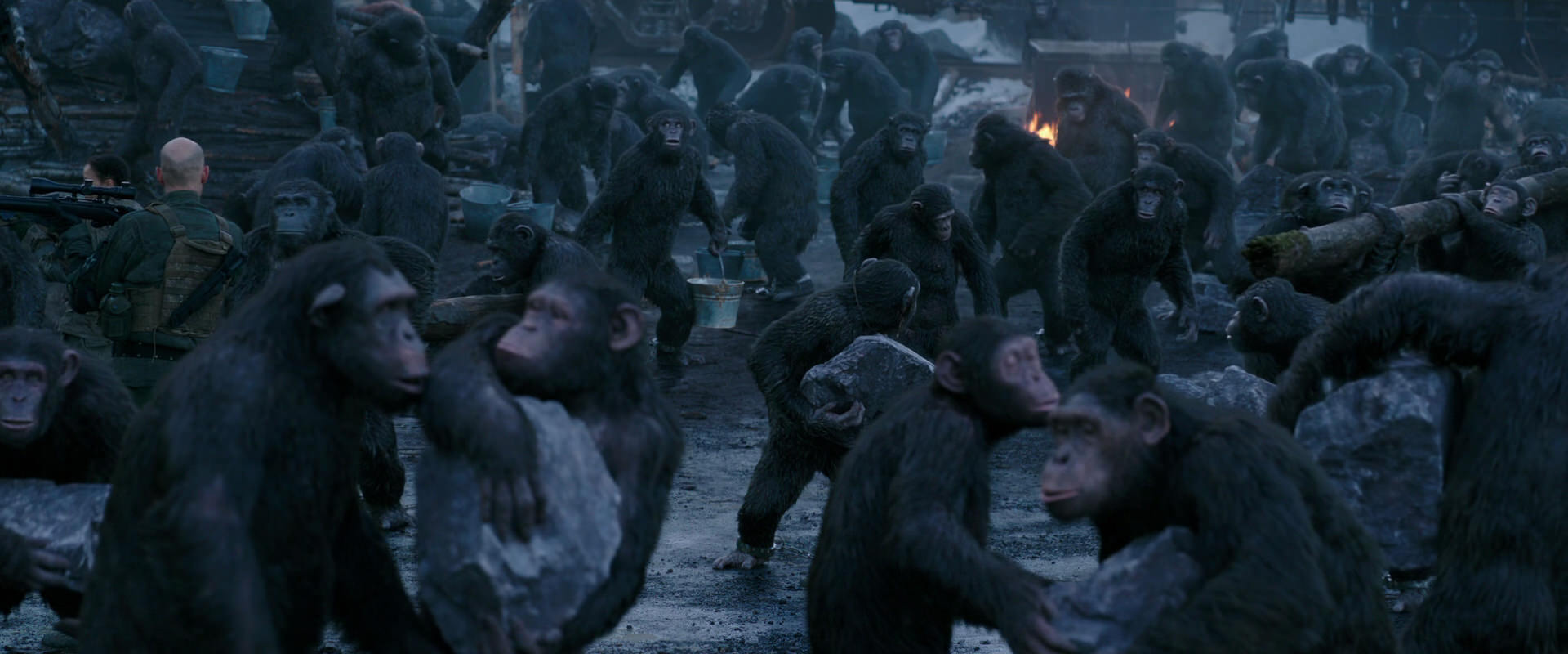 War for the Planet of the Apes (2017) movie still 8683