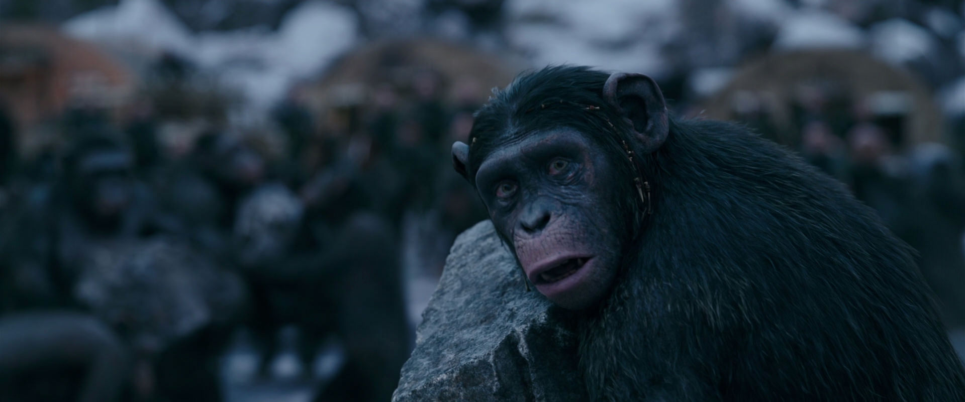 War for the Planet of the Apes (2017) screencap 8685